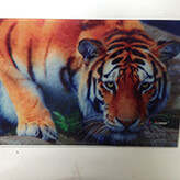 Glass Printer & Glass UV Printer Printing Sample！MT Digital Industry - UV Printer, Eco Solvent Printer, Solvent Printer, Digital Textile Printer Manufacturer & Supplier! 