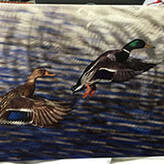 Metal Printer & Metal UV Printer Printing Sample！MT Digital Industry - UV Printer, Eco Solvent Printer, Solvent Printer, Digital Textile Printer Manufacturer & Supplier! 