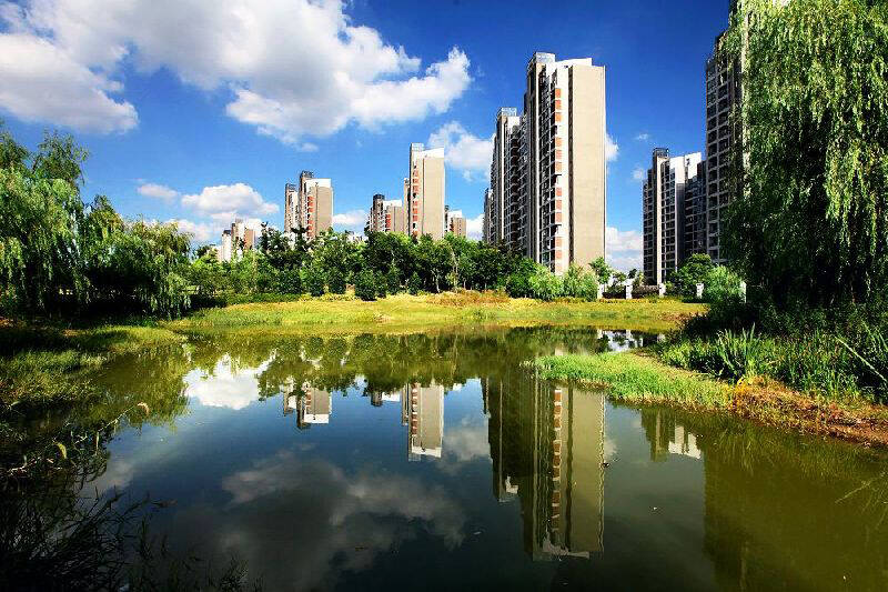 1479118315643343.jpg 未标题-1.jpg