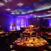 Стретч-потолочные принтеры