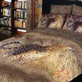 10455636935_938cd9c1c5_o