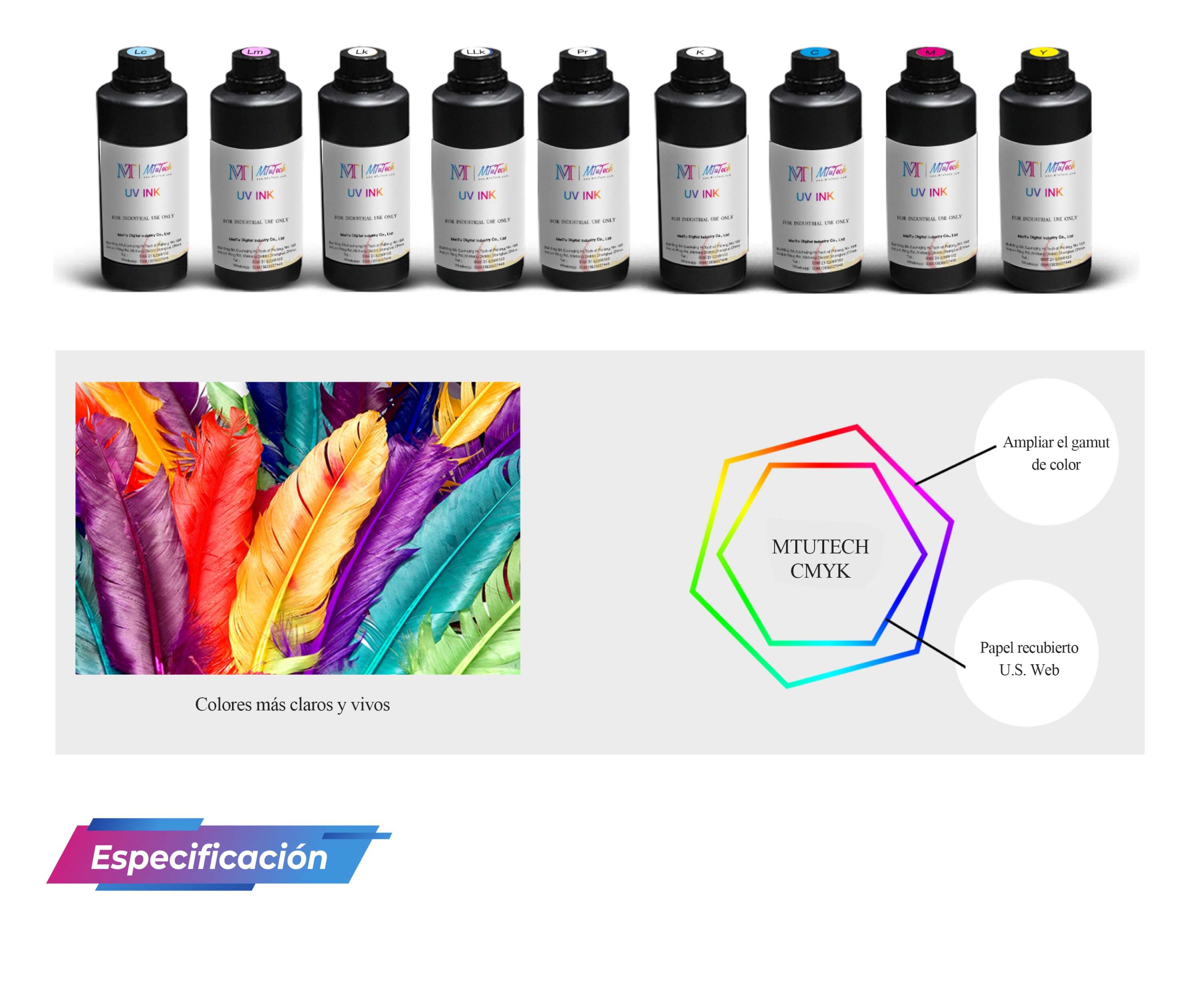 UV-网带机西班牙_14