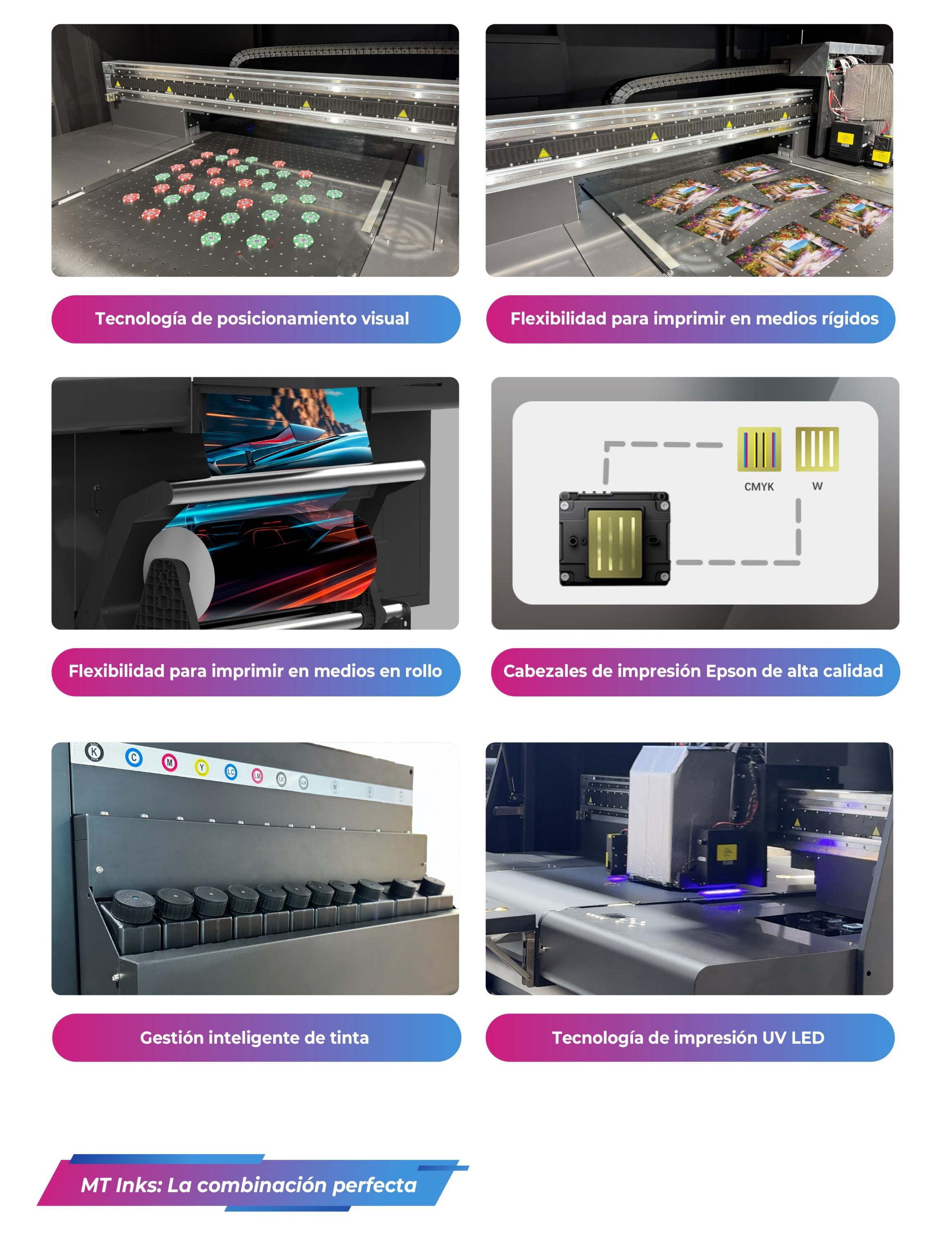 UV-网带机西班牙_12