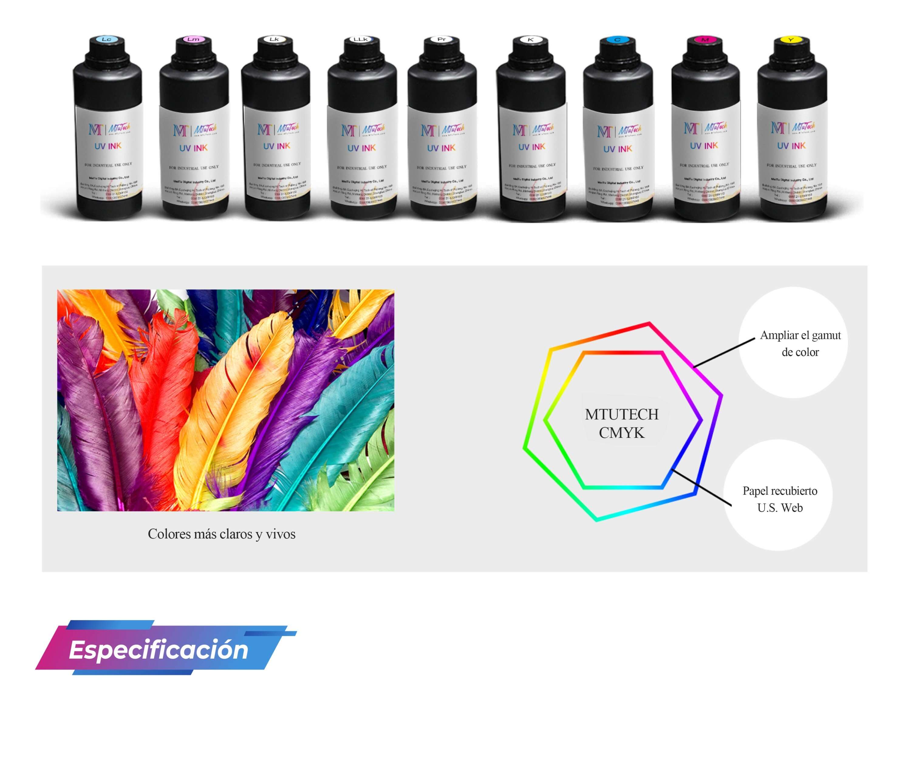 UV-网带机西班牙_14