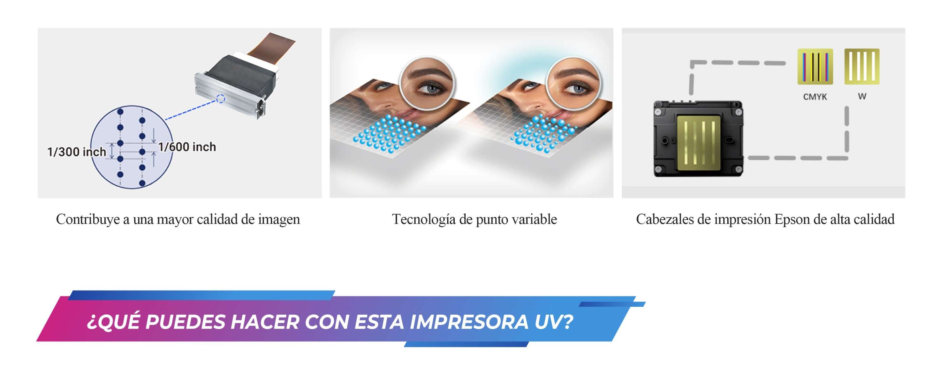 UV-网带机西班牙_04