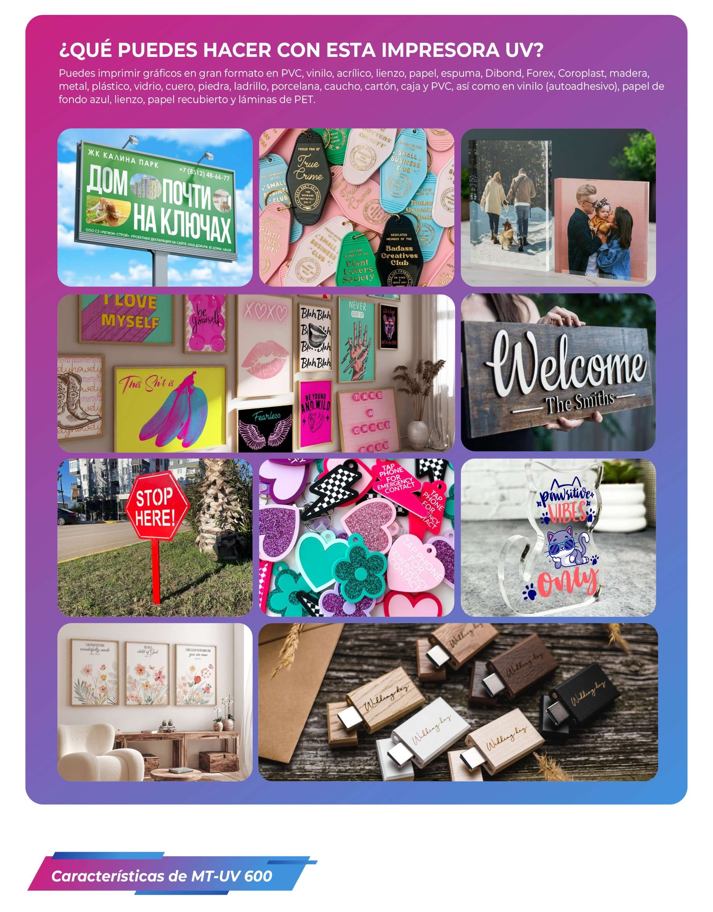 UV-网带机西班牙_06